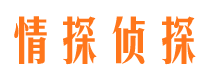 馆陶情探私家侦探公司